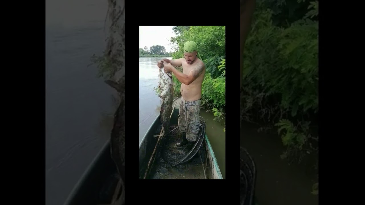 2-2- PİNTERLE YAYIN AVI-B&Uuml;Y&Uuml;K BALIK AVI-/-BROADCAST WITH PINTER-BIG FISHING
