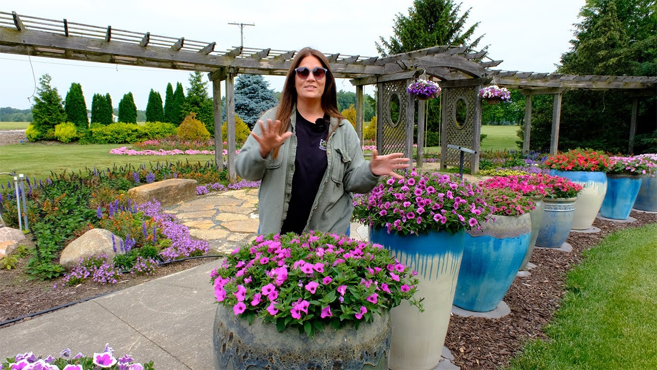 Plant Of The Day: June 16 - 22 (30% Off)