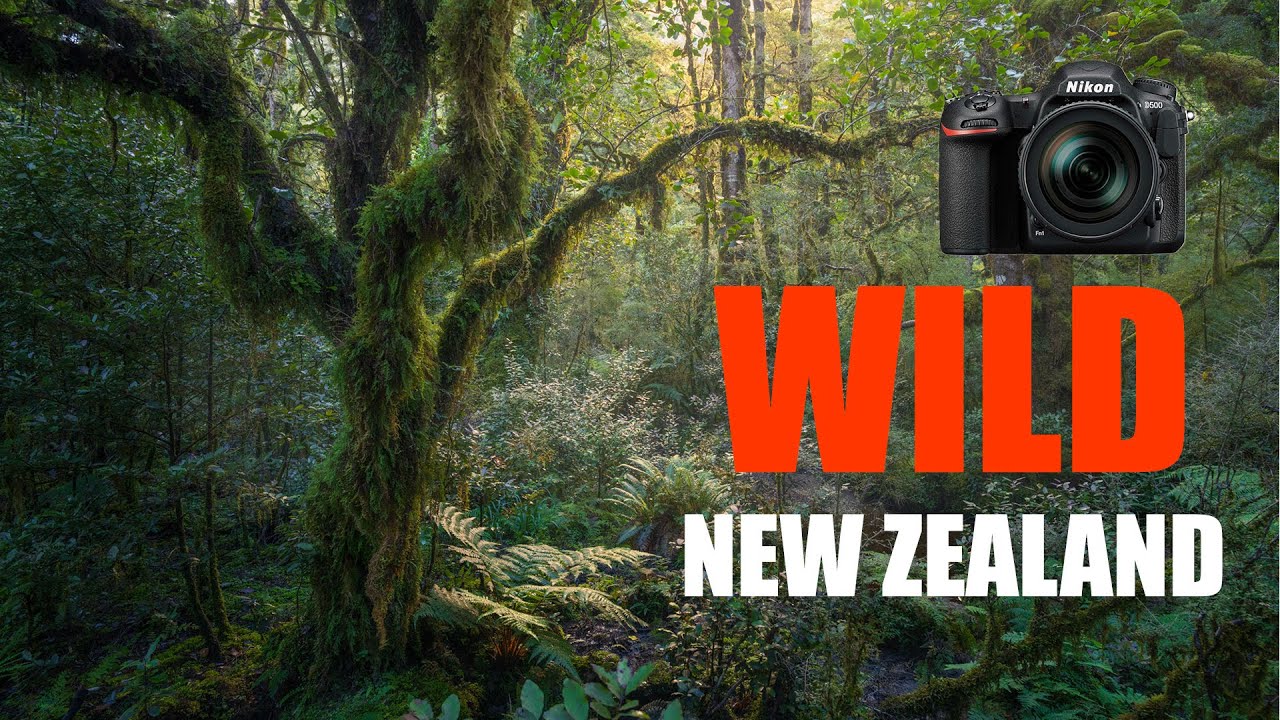 Photographing The New Zealand Wilderness | Landscape ASMR