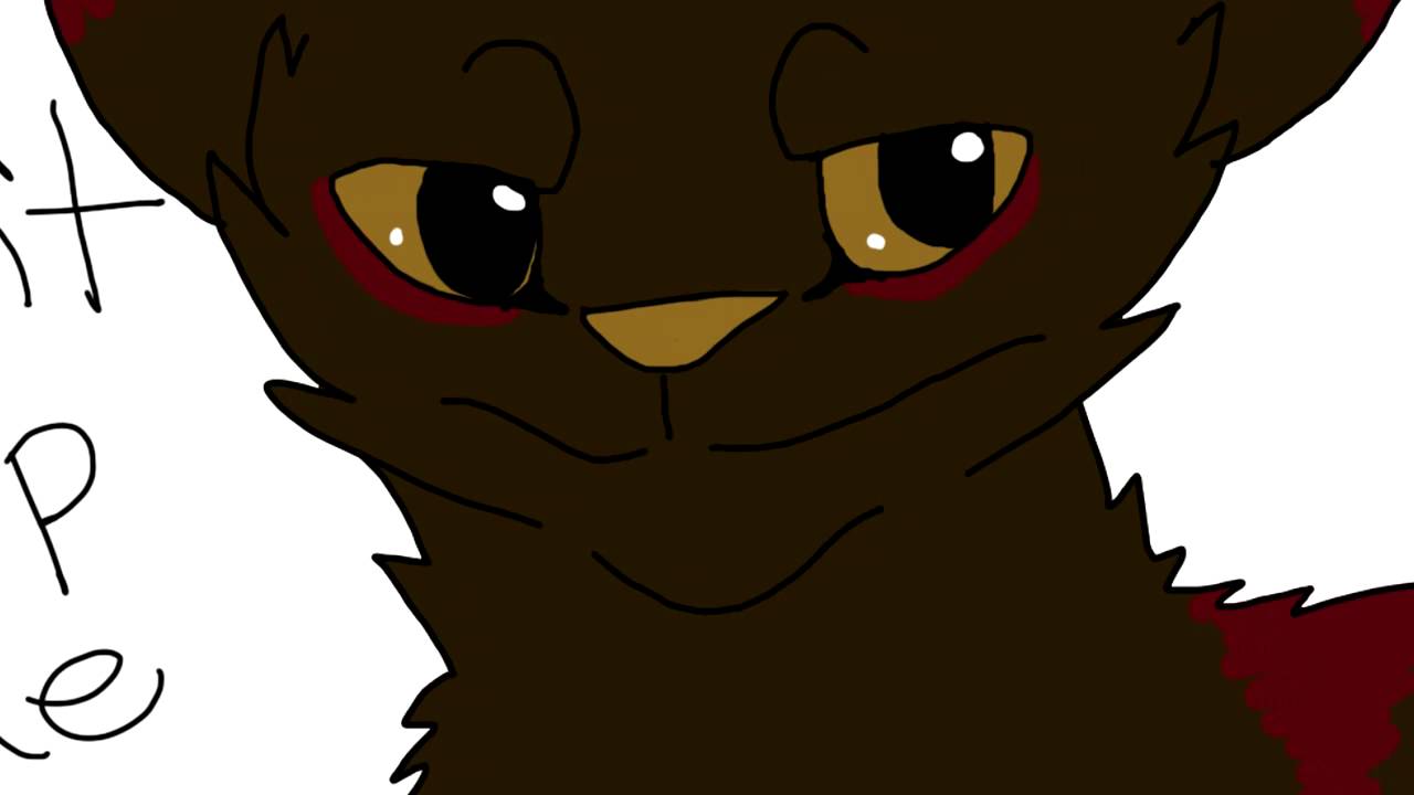 Part 13 for fuzzecka