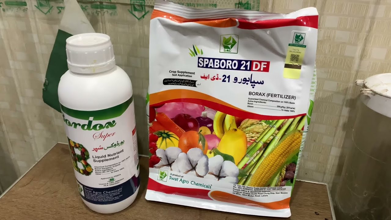 Powder boron vs liquid boron | bordox super and spaboro swat agro | best price at Kissan Ghar