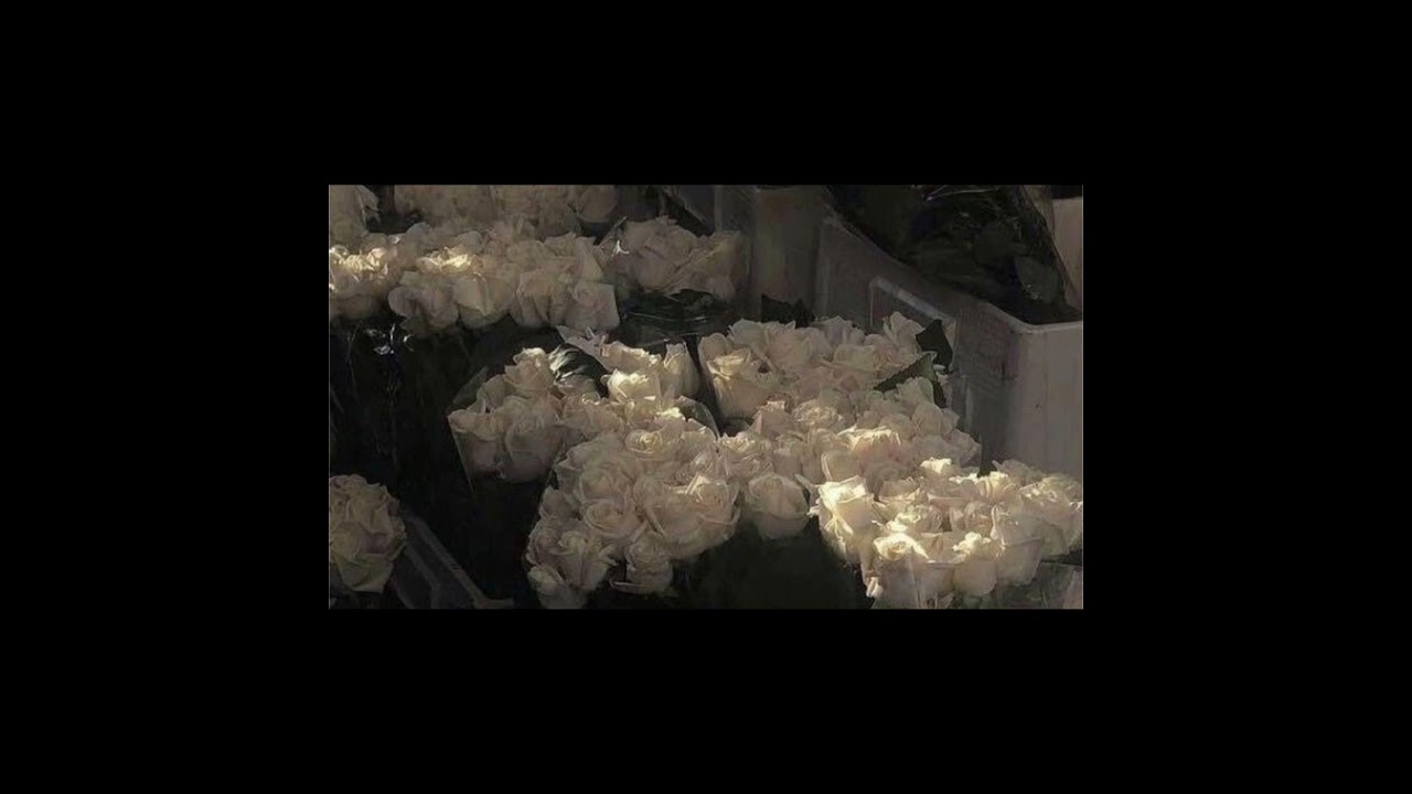 Юрий Шатунов - Белые розы (Slowed + Reverb)