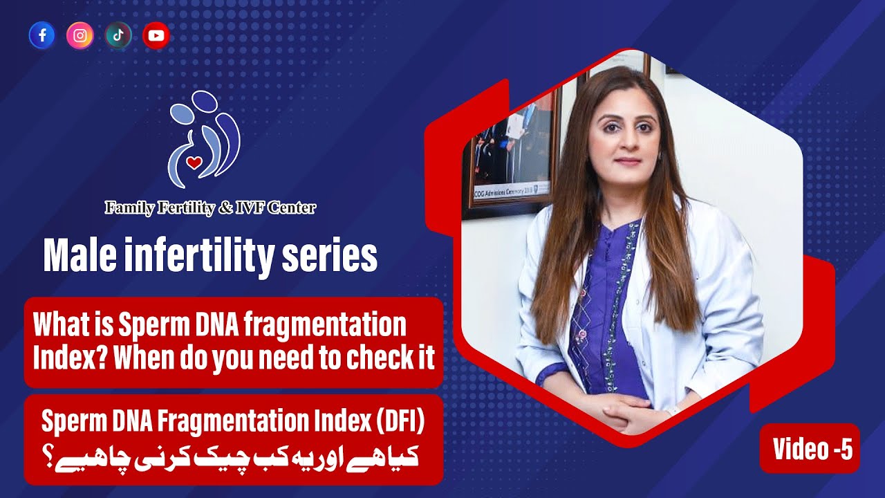 What is Sperm DNA fragmentation Index? When do you need to check it?