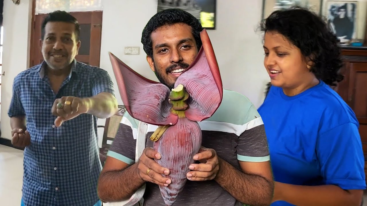VLOG 042 - කරාටි තාත්තා, අංගම්පොර දුව සහ කෙහෙල් බුවා