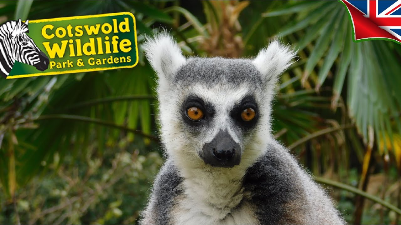 Cotswold Wildlife Park & Gardens! (2024) #COTSWOLDS