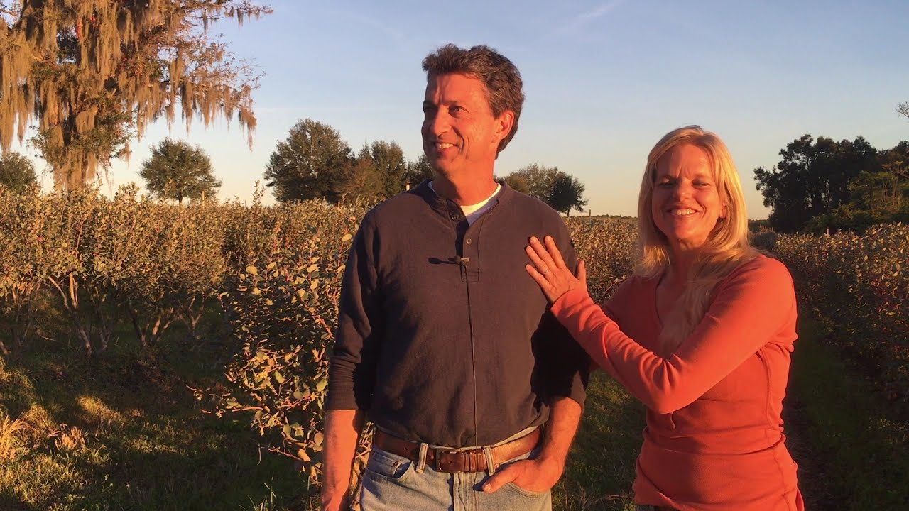 King Grove Organic Farm Talks Real Organic Blueberries