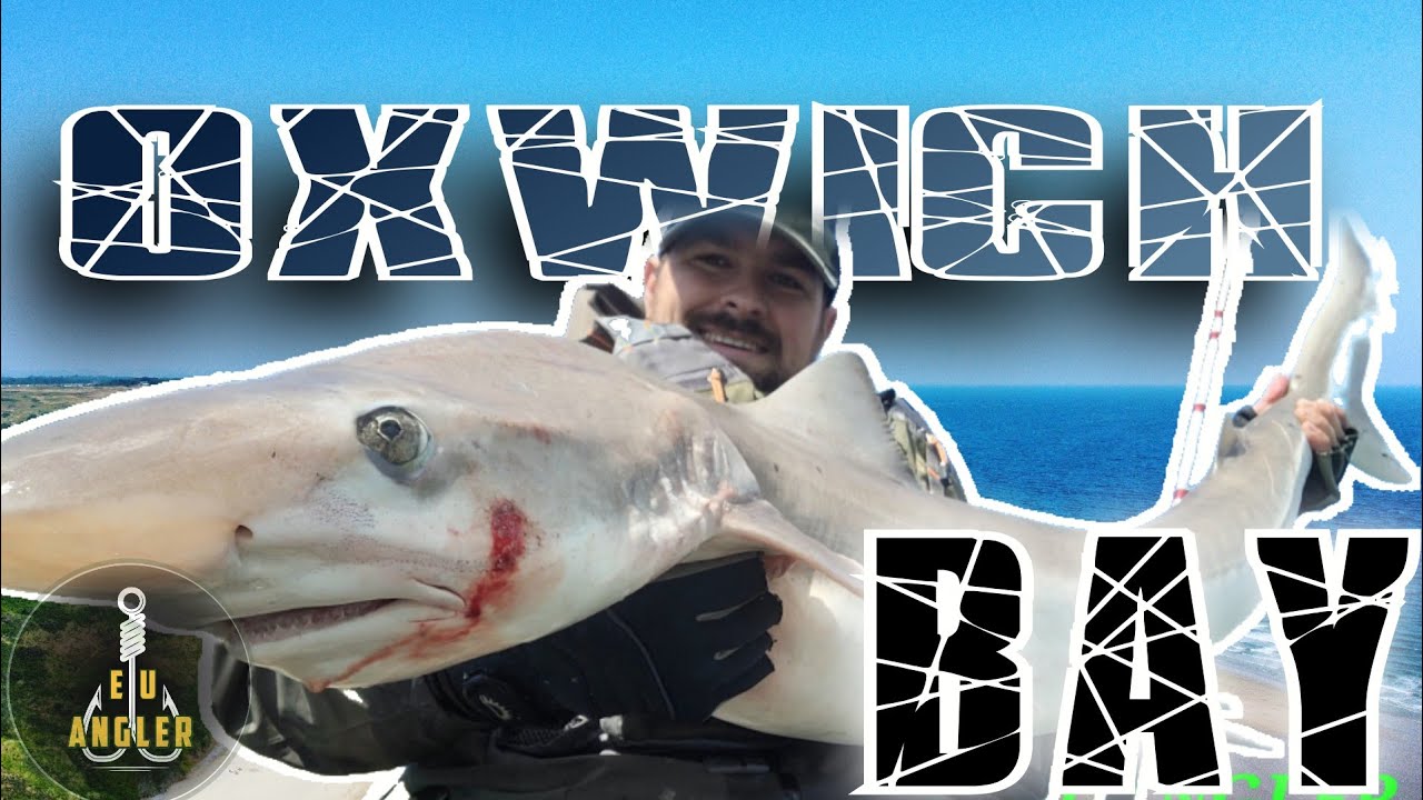 South Wales tope shark fishing / kayak fishing UK