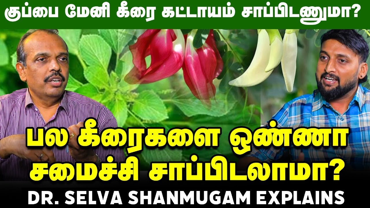 வெந்து கெட்டது முருங்கை; வேகாம கெட்டது அகத்தி...எப்படி? Dr. Selva Shanmugam | Keerai