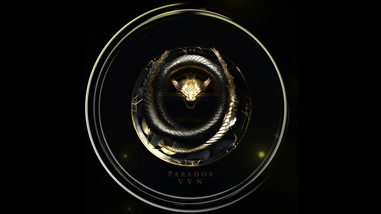 VVN - Paradox