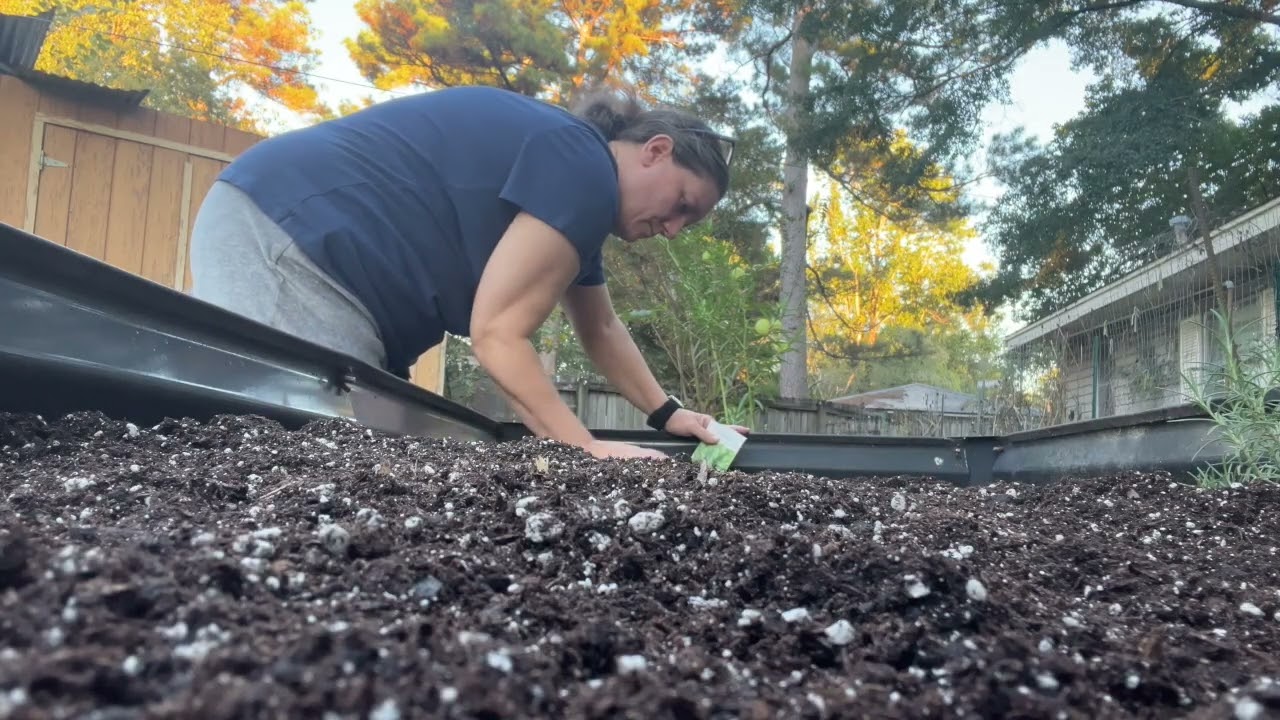 Planting for Late Fall and Winter in Mississippi