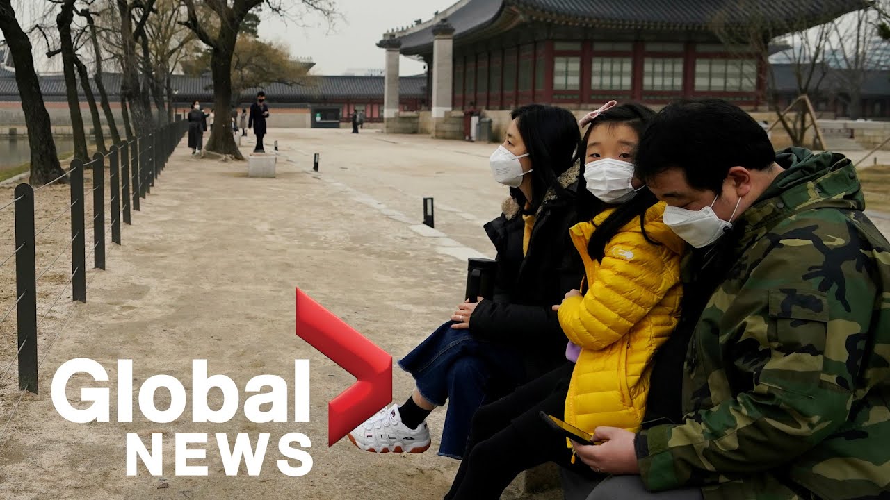 Coronavirus outbreak: Churches close, military assists as South Korea surpasses 3000 cases