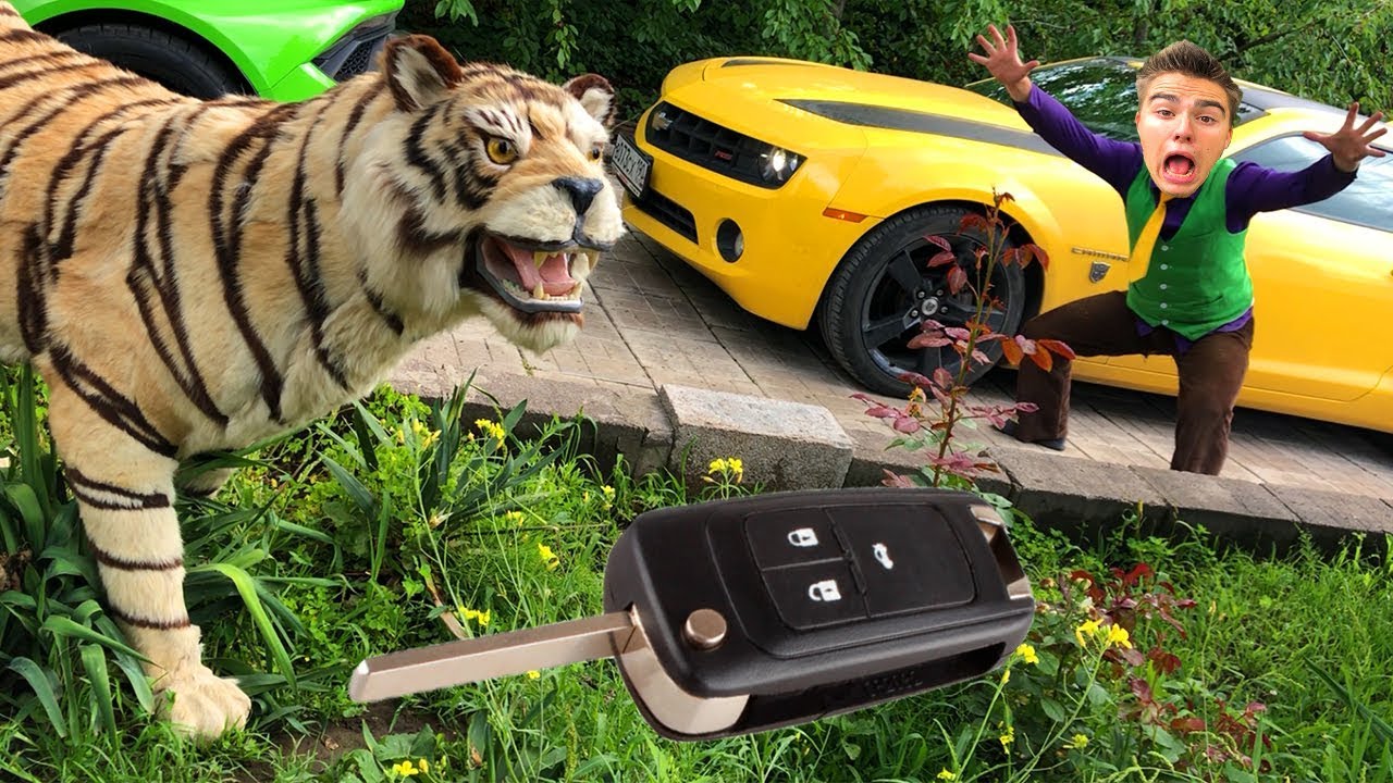 Mr. Joe found Car Keys in Tiger's Mouth of Chevrolet Camaro VS TIGER & Started Race for Children