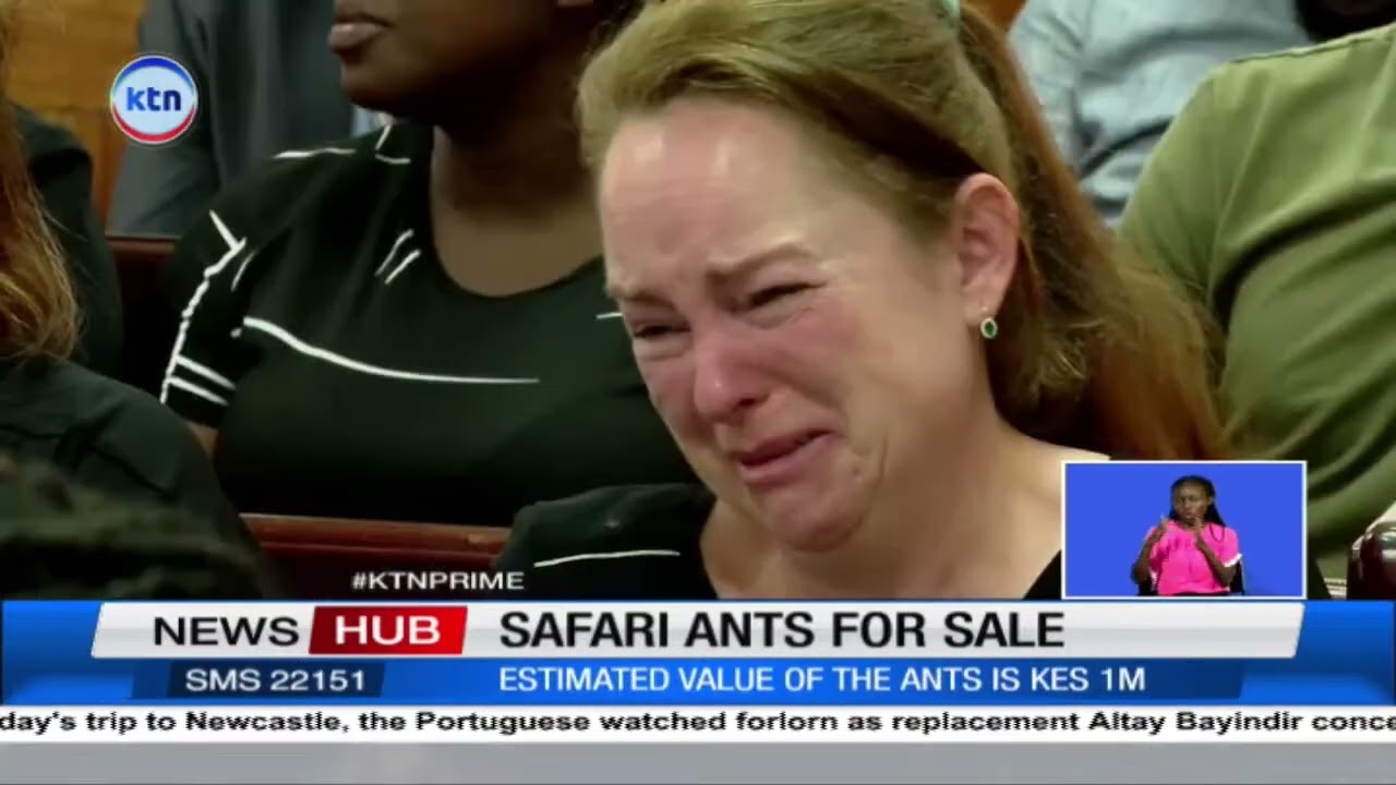 3 foreign nationals and a Kenyan arraigned in court after being found in possession of safari ants
