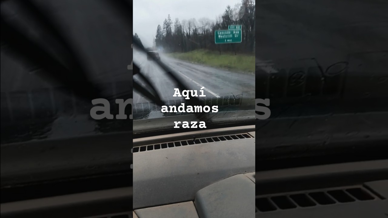 12 de marzo de 2026