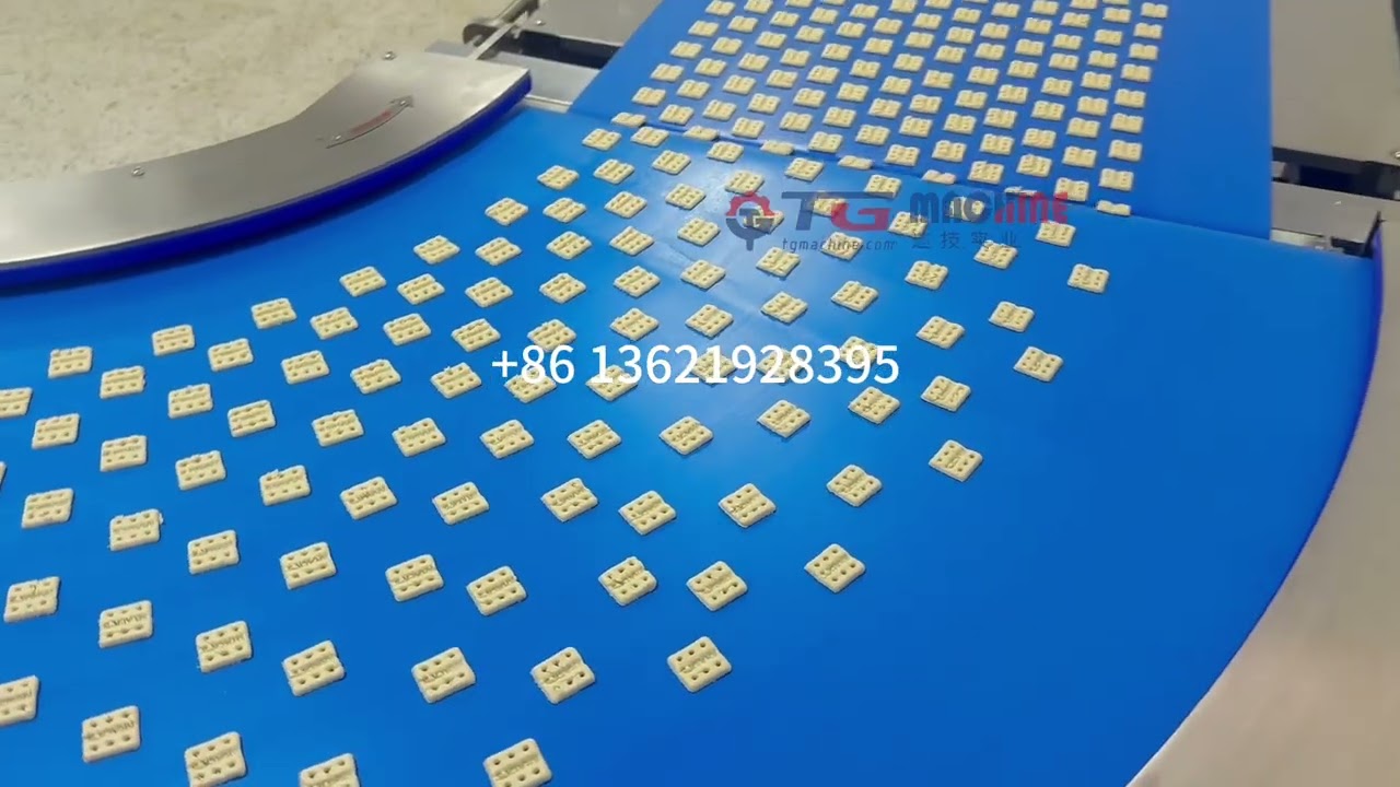 Fully automatic hard and soft biscuit production line food making factory 