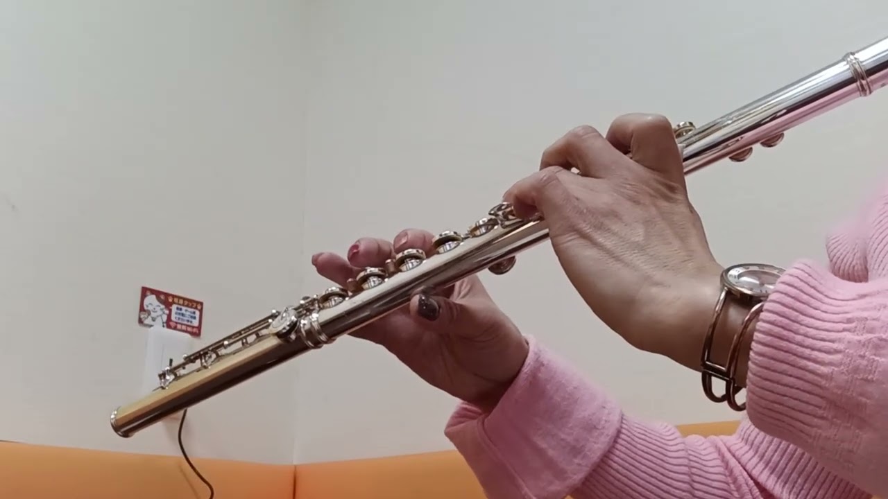 ハナミズキ　一青窈　フルートで吹いてみました