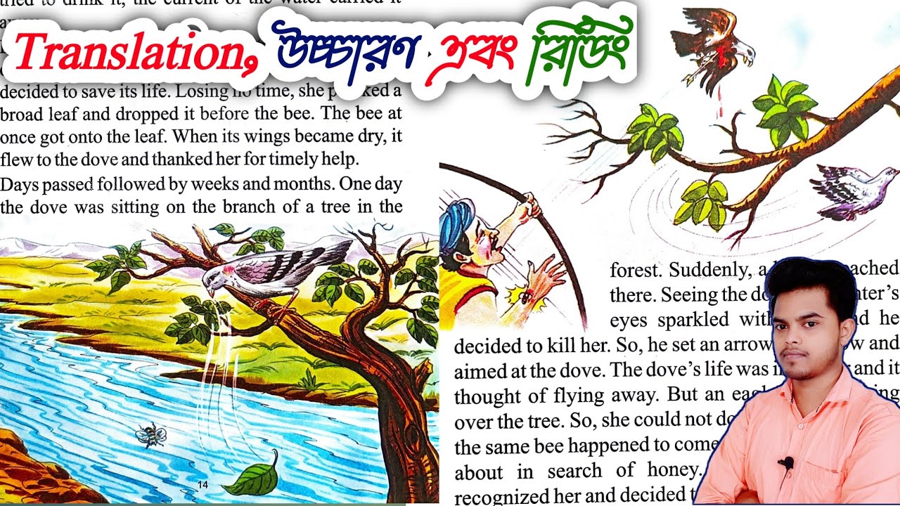 English reading with Bengali meaning | The Dove and The Bee |
