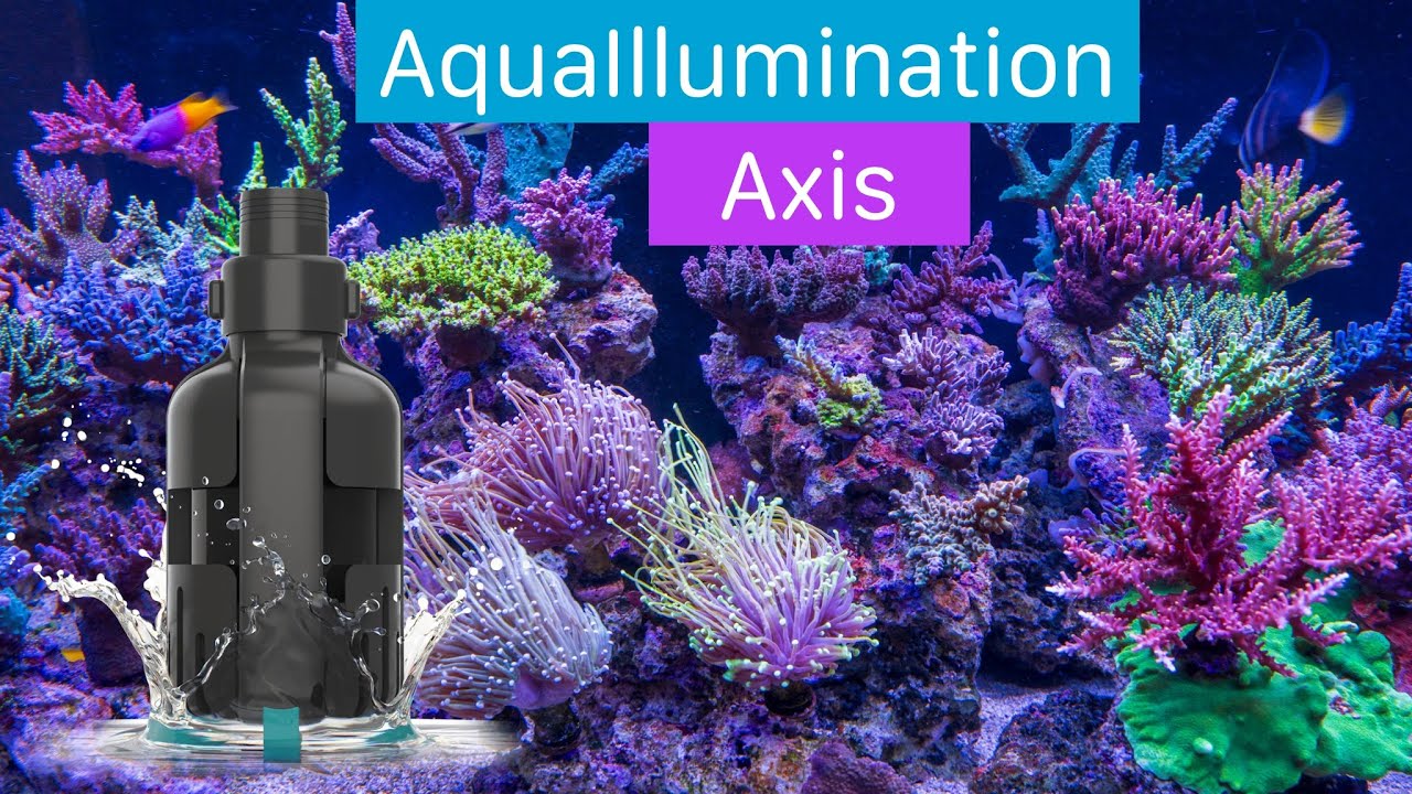 AI Axis Pump First Look