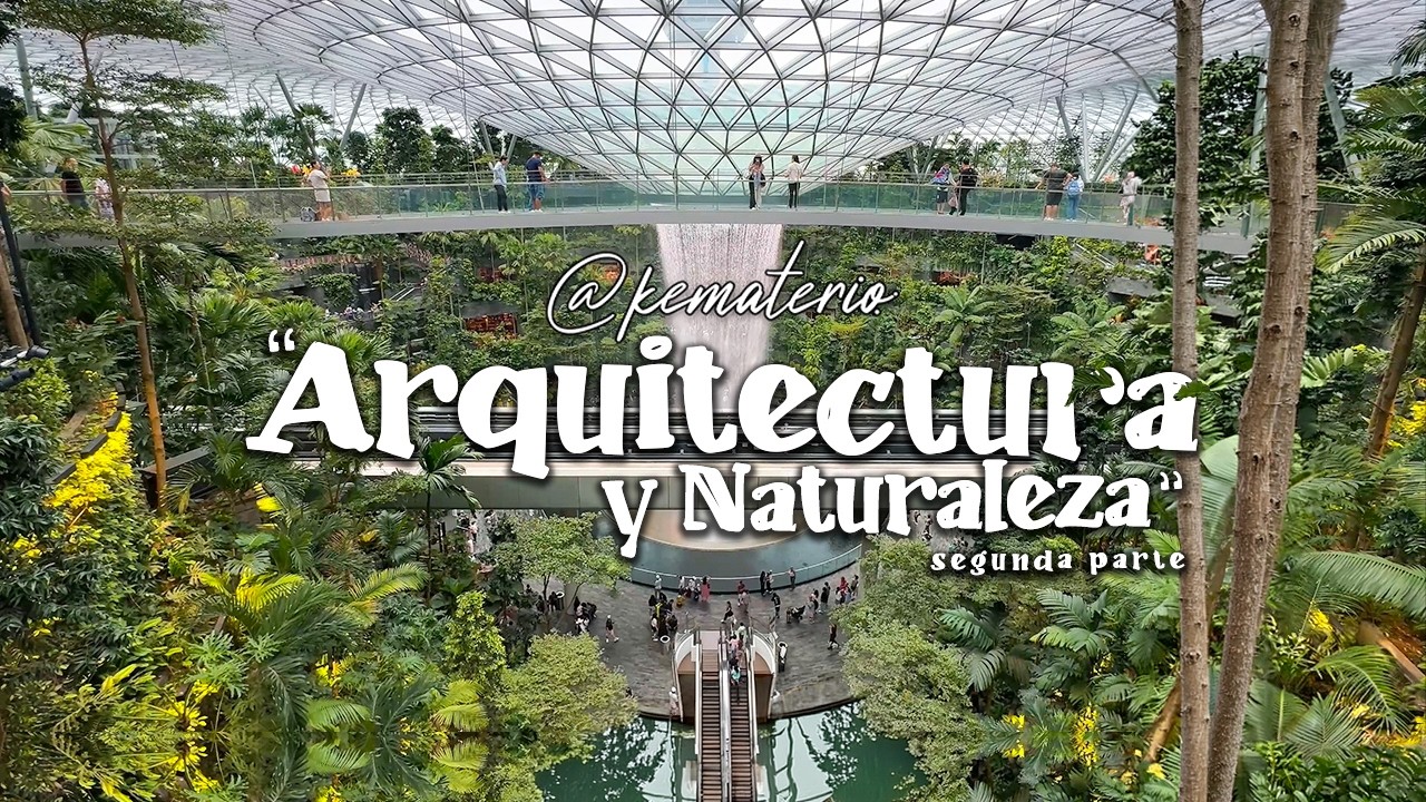 🌴 Aeropuerto Jungla - Cuando la Naturaleza Domina la Arquitectura 🌺