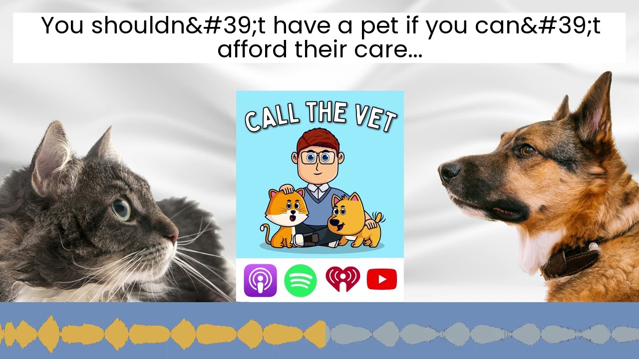 You shouldn't have a pet if you can't afford their care...