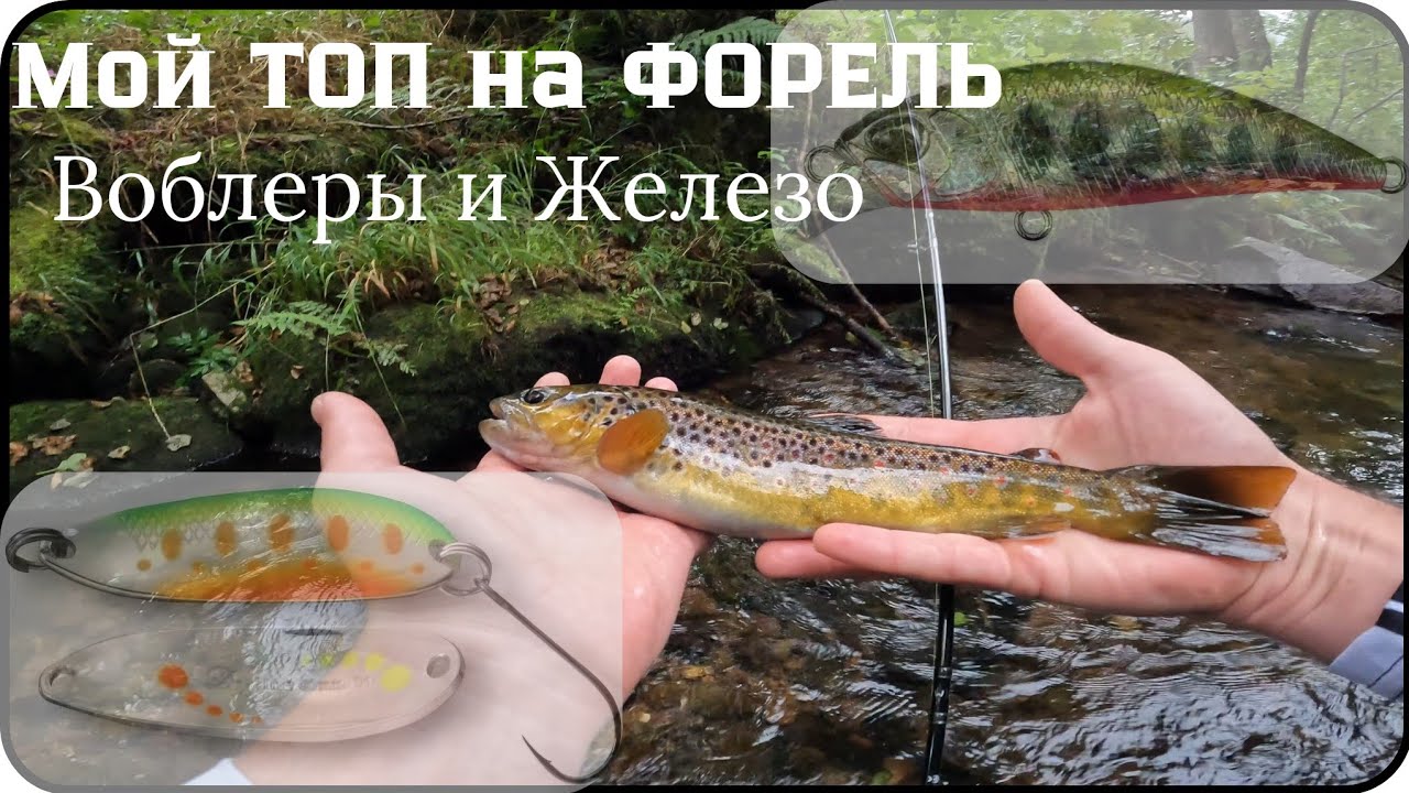 ТОП Лучших Приманок для Ловли Форели! Проверенные варианты! #спиннинг #рыбалка #форель