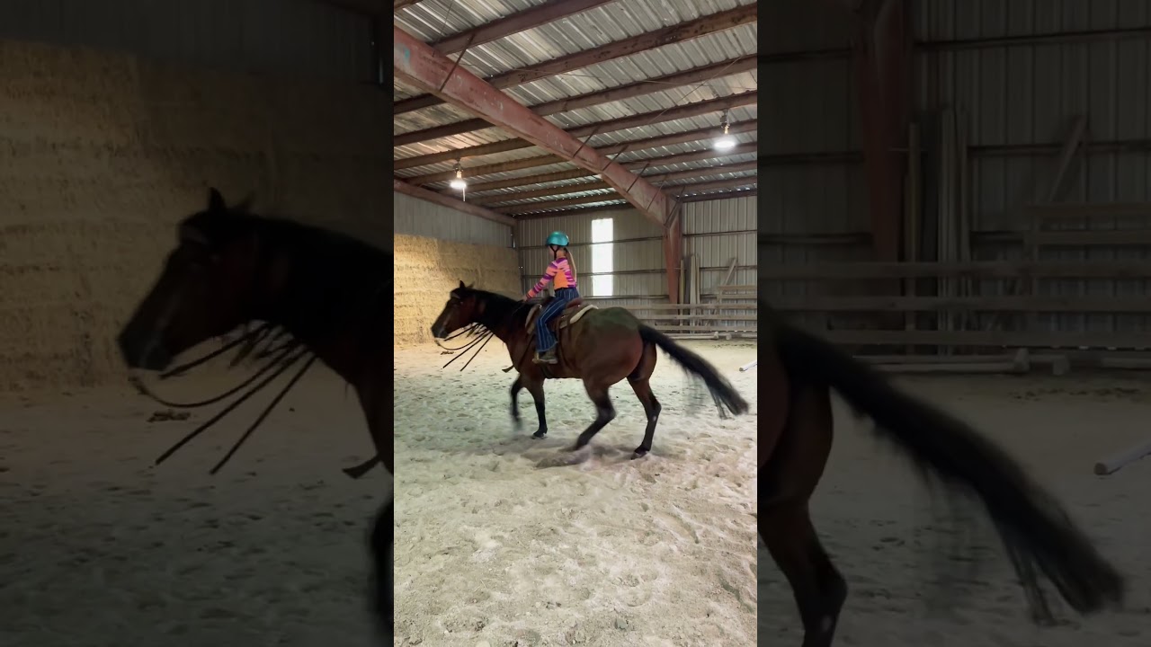 A little spin w/ sly 
