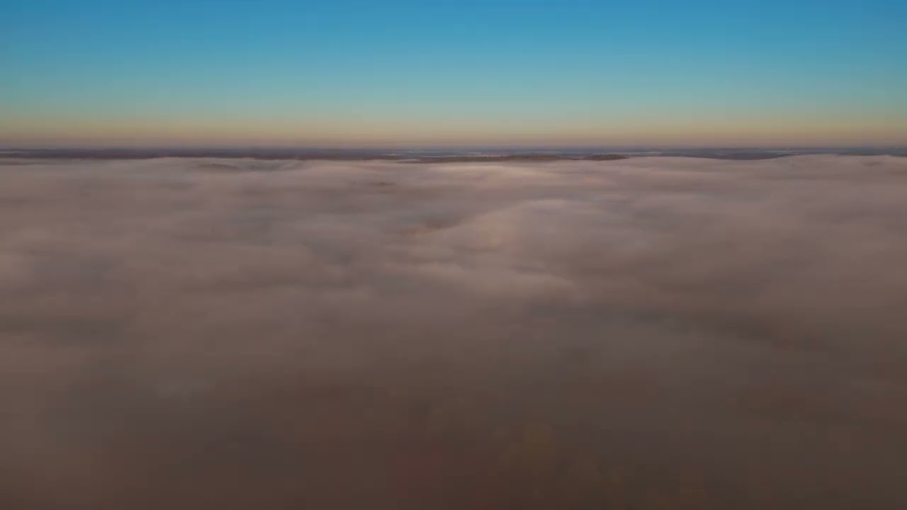 ￼ Some fog in the morning light.