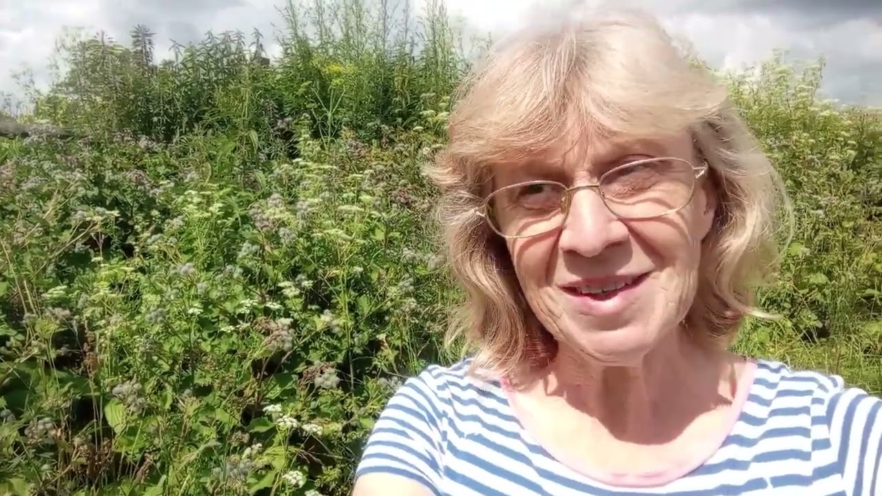 SUMMER WALK JULY 2025