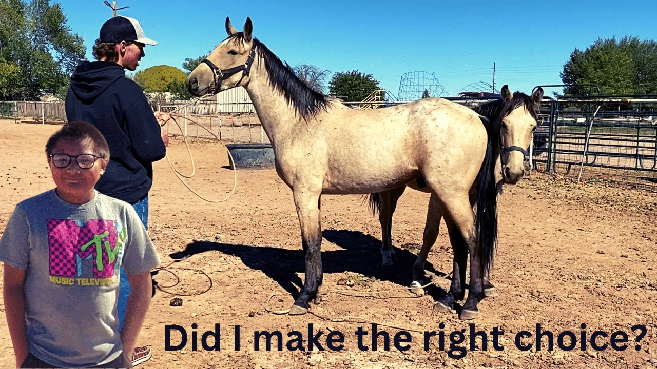 I MADE A DECISION and I TELL YOU WHY!