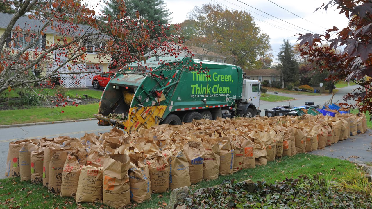 Garbage Truck VS 300 Leaf Bags