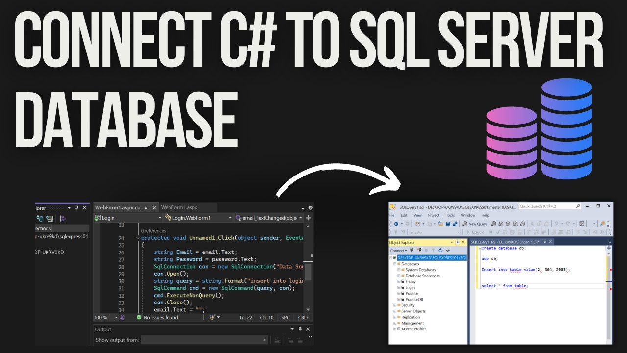 How to Connect ASP.NET Web Application to MS SQL Server