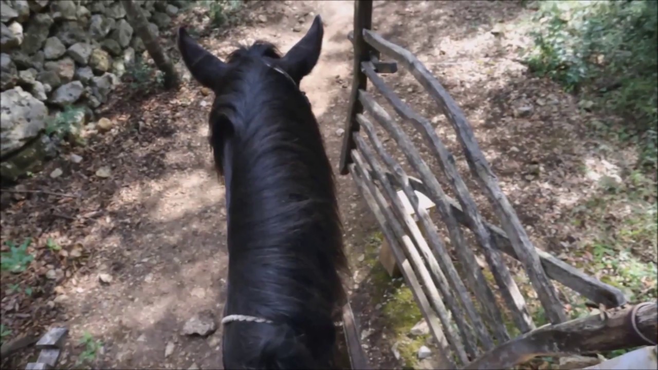 Round trip. Horse riding in Menorca