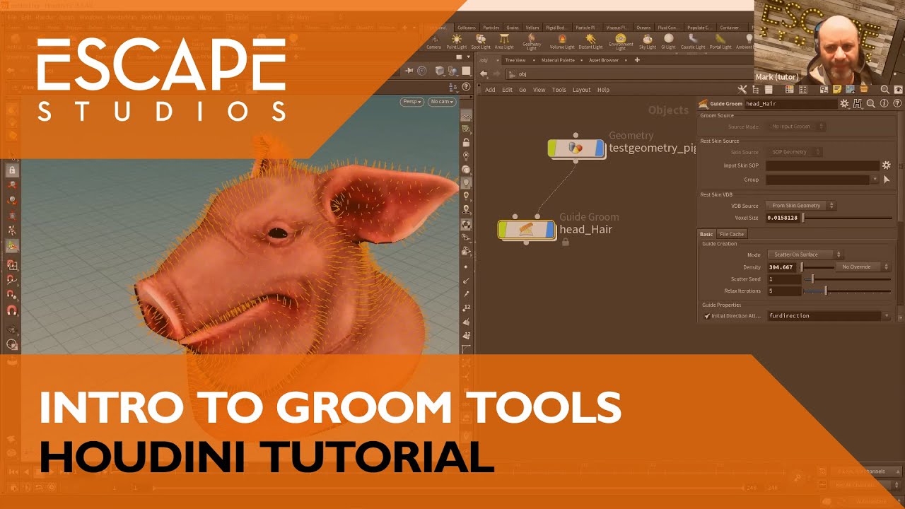 Introduction to Groom Tools | Houdini Tutorial