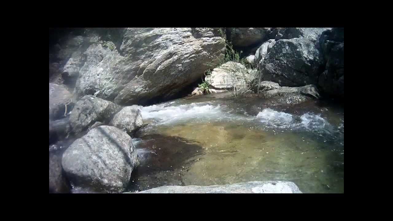Truite des cévennes au toc