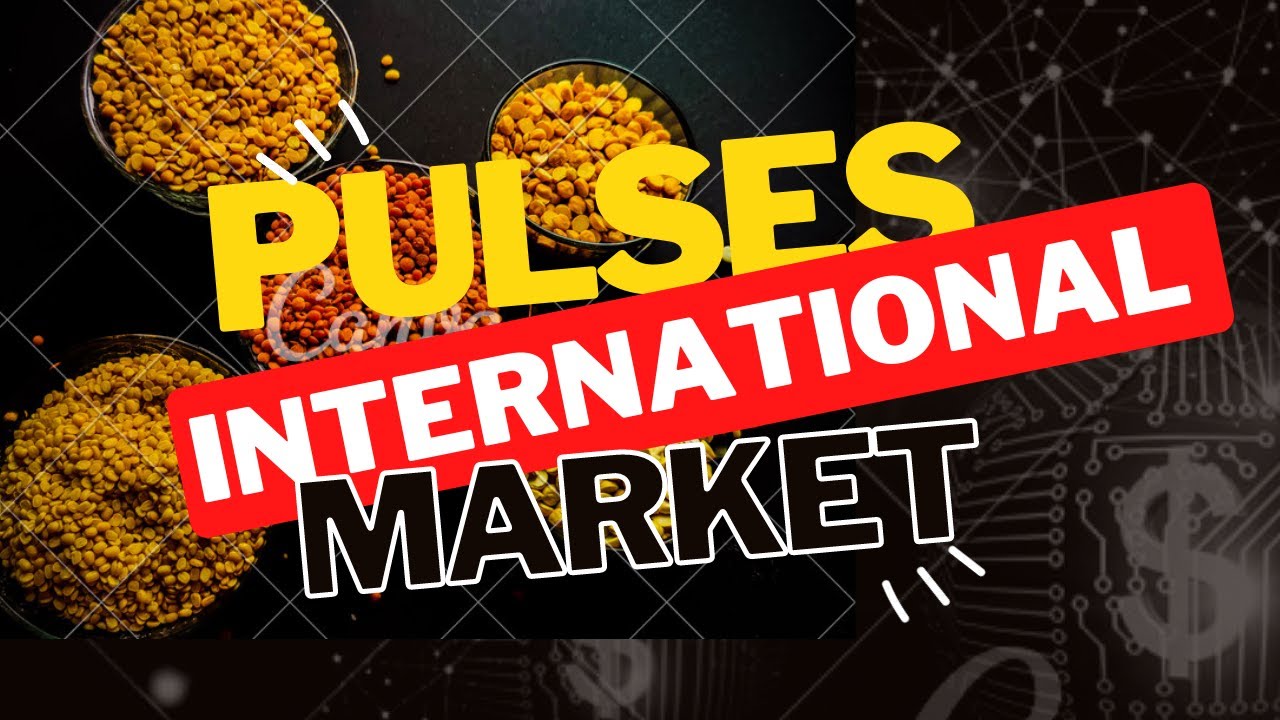 Pulses international market prices overview | Pakistan pulses market latest updates