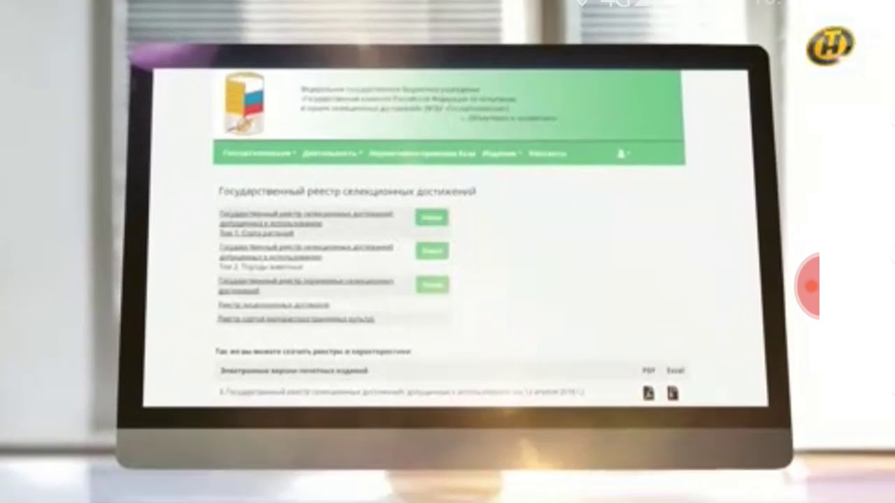 Онт реклама (30.04.2019)
