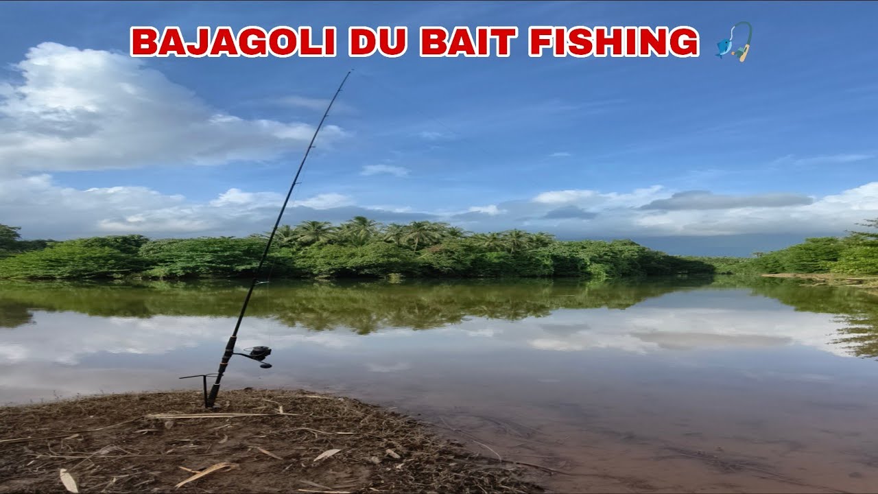 BAJAGOLI DU BAIT FISHING 🎣