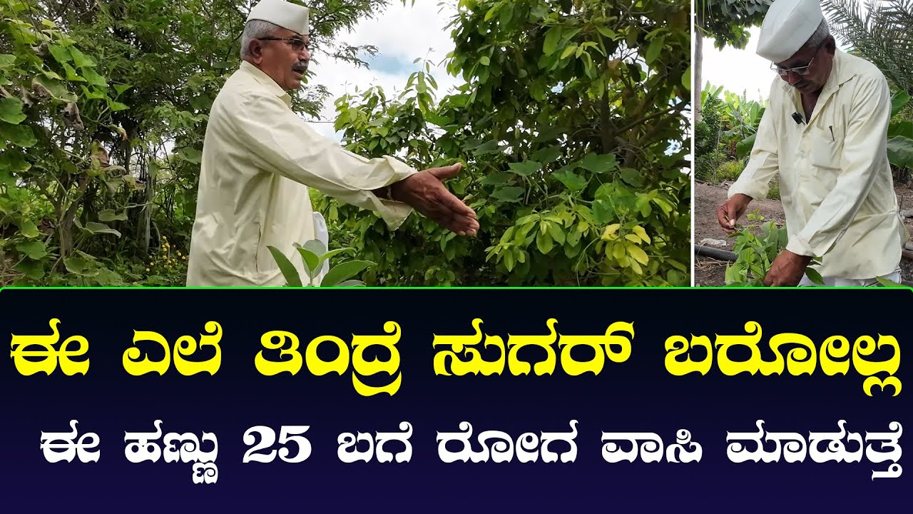 ನಮ್ಮ ತೋಟದಲ್ಲಿ ಎಲ್ಲಾ ತರಹದ ಆಯುರ್ವೇದದ ಗಿಡ ಮೂಲಿಕೆ ಸಿಗುತ್ತೆ | Ayurveda | Nandi Tv Karnataka | EPS 2nd