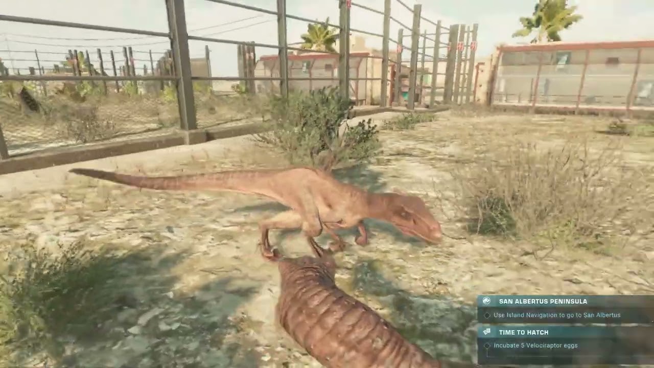 Velociraptor Showdown: Clash of the Cretaceous Predators | Ultimate Raptor Battle 🦖🔥