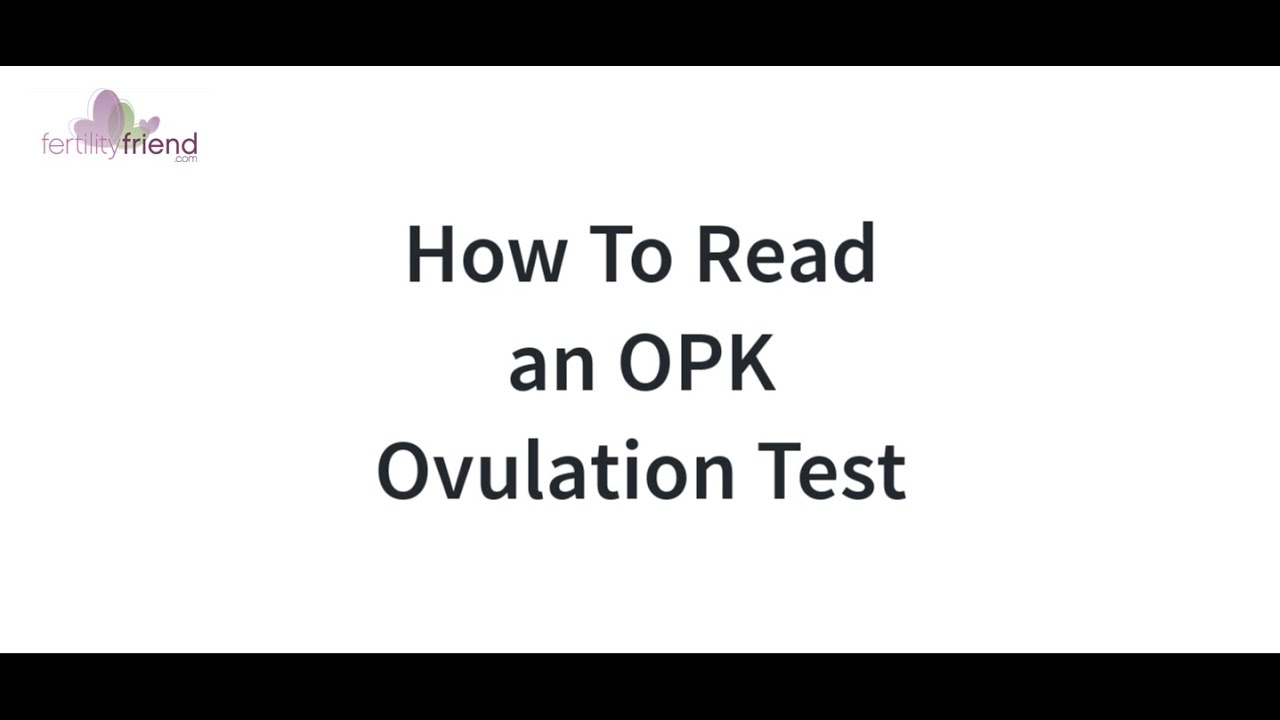 How To Read an Ovulation Test (OPK)