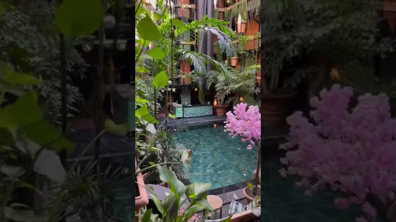 The Beautiful Manon Les Suites in Copenhagen 🌴🇩🇰😍