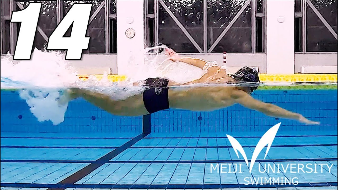 【Freestyle】明治大学水泳部　西松 寛和【Swimming】