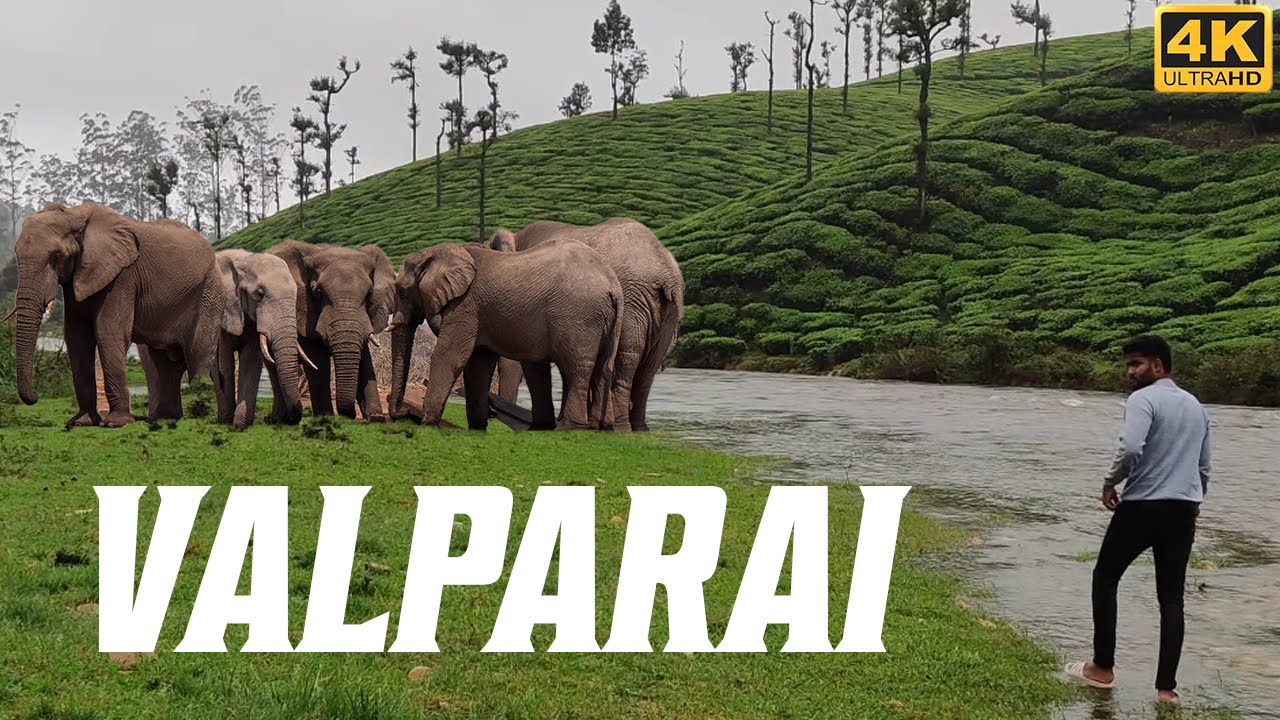 Unknown Side  of  Valparai | Valparai Vlog | Lockdown Travel | Koolangal | Vellamalai