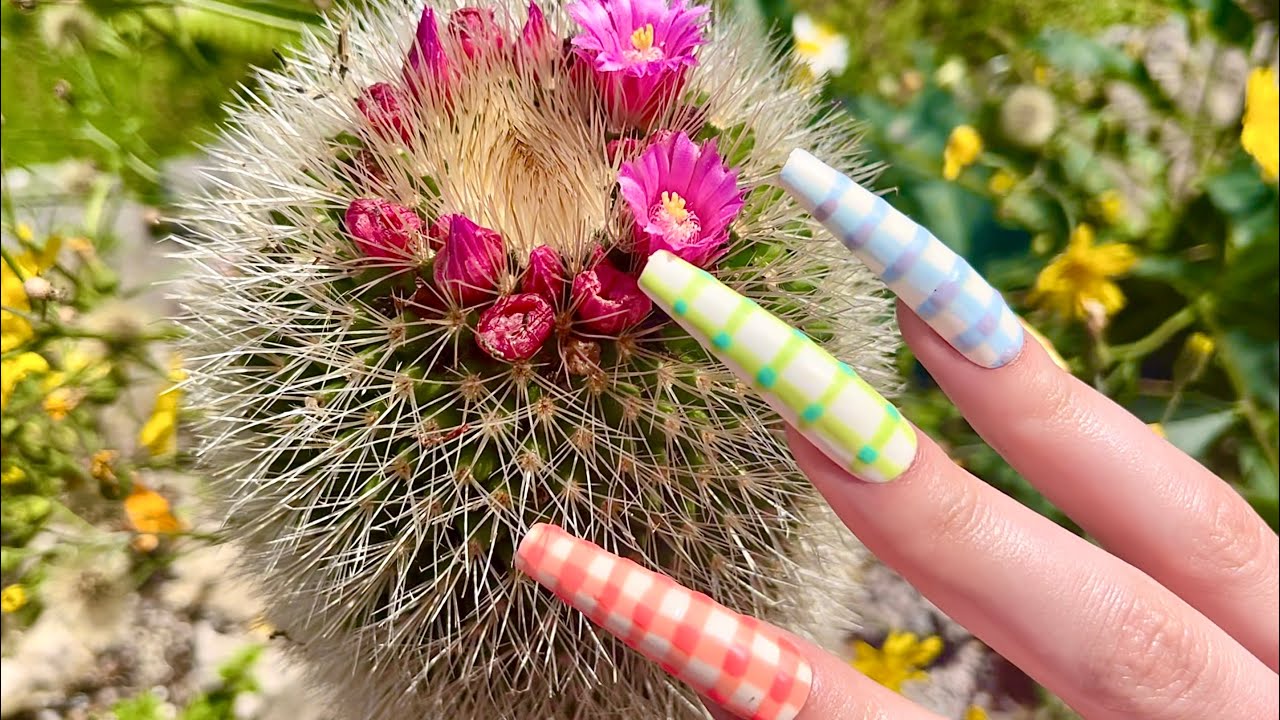 Lofi ASMR | Outdoor Tap Around!🌵Natural triggers from the last days of summer 🩷 With whispers