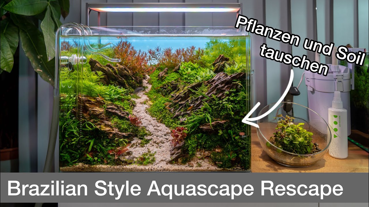Brazilian Style Aquascape Rescape | Soil und Pflanzen tauschen | Liquid Nature
