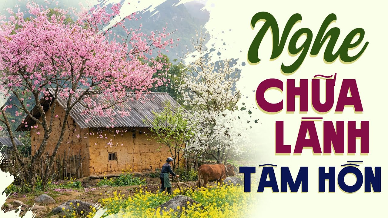 Nghe Chữa L&agrave;nh T&acirc;m Hồn - Truyện Đ&ecirc;m Khuya S&acirc;u Lắng Dễ Nghe Dễ Ngủ