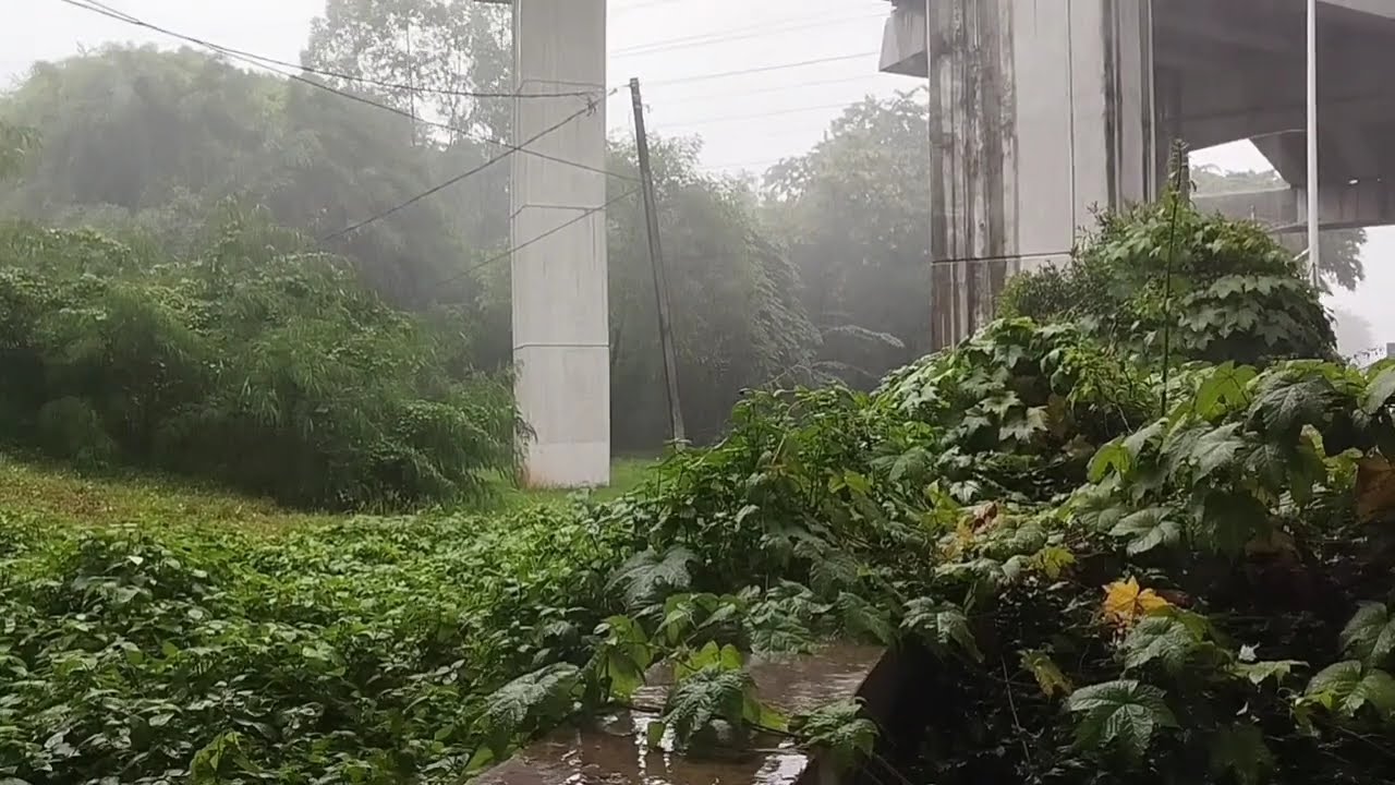 [no iklan] Lagu Santai Viral Tiktok 2026 | Pop Indonesia Terbaru 2026 | sedia Aku Sebelum Hujan 