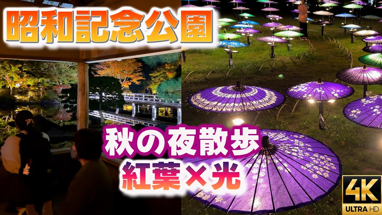 秋の夜が美しすぎる【昭和記念公園】秋の紅葉夜散歩2025 幻想の日本庭園 光の和傘 紅葉の水鏡が織りなす秋の静寂 心奪われる和の光景
