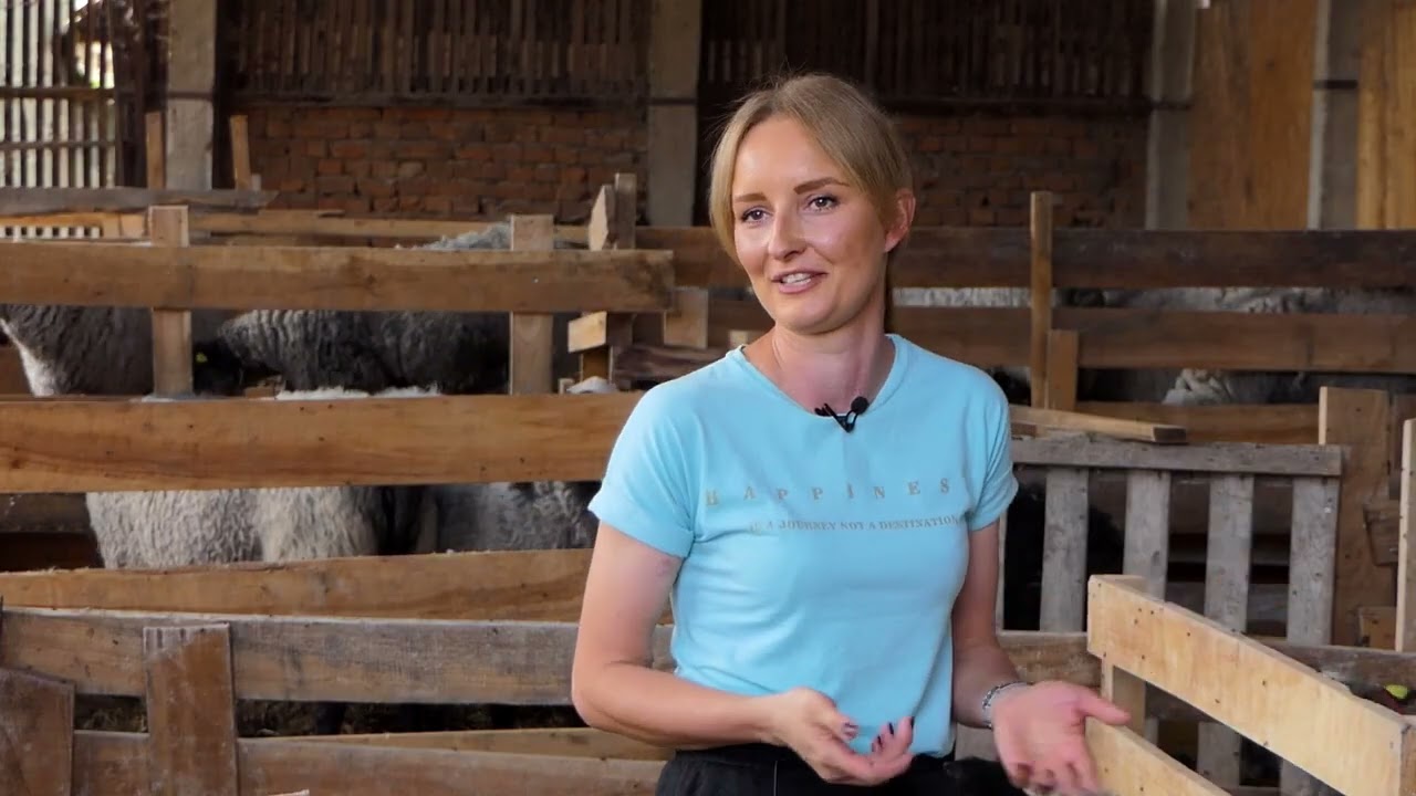 ROMANOVSKA OVCA -  Prednosti uzgoja ove rase