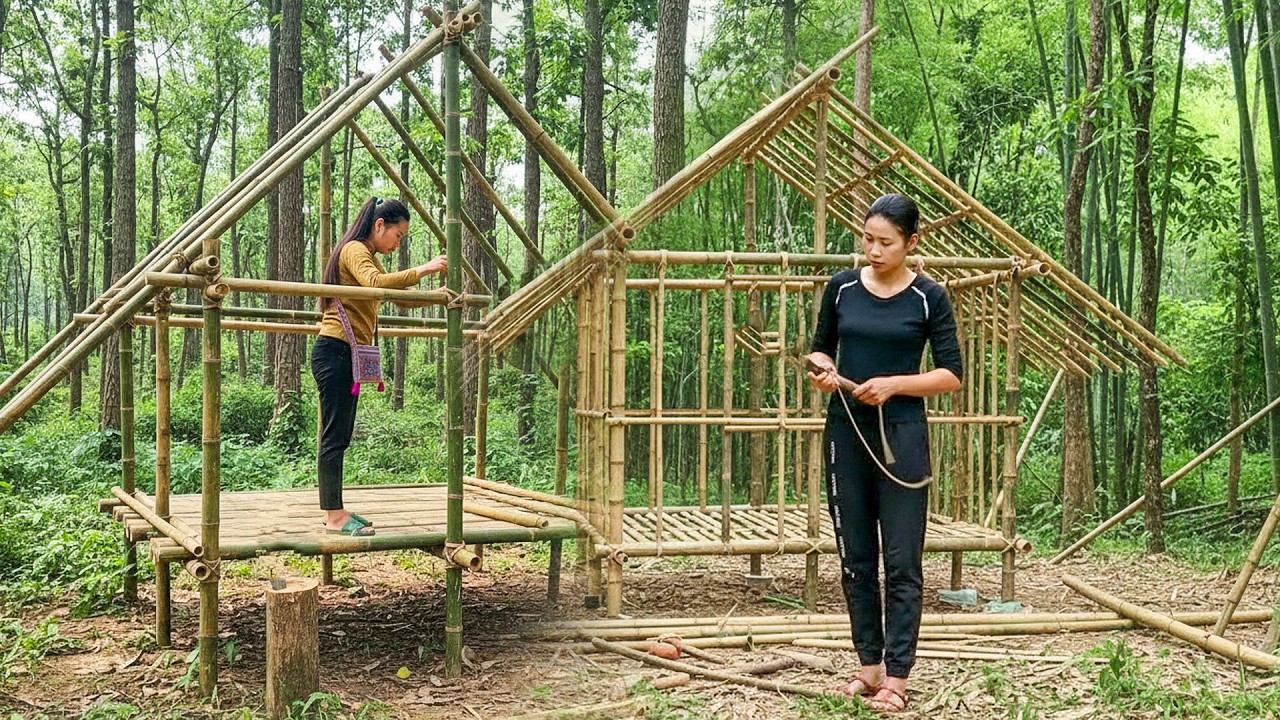 Girl Builds Bamboo House Alone in Forest – Solo Survival Shelter Build | Lý Tiểu Muội
